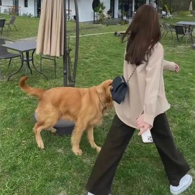 母性光辉